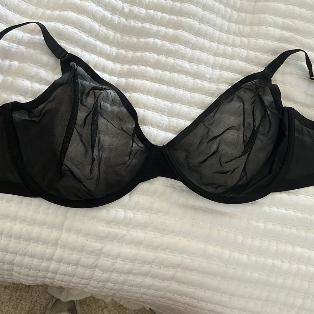 Sheer Mesh Black Bra